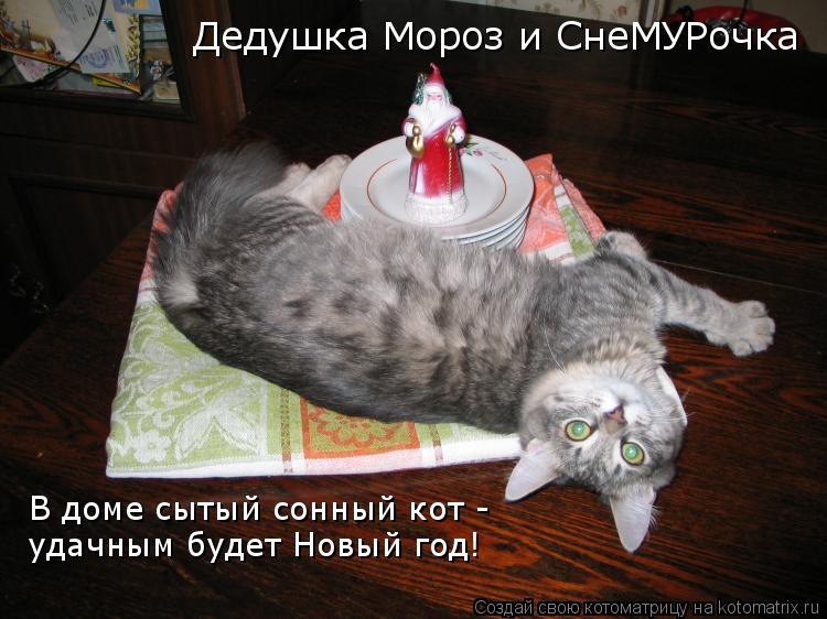 Дедушка Мороз и СнеМУРочка В доме сытый сонный кот - удачным будет Новый год! В доме сытый сонный кот... Котоматрица: Дедушка Мороз и СнеМУРочка В доме сытый сонный кот - удачным будет Новый год! В доме сытый сонный кот - удачным будет Новый год!