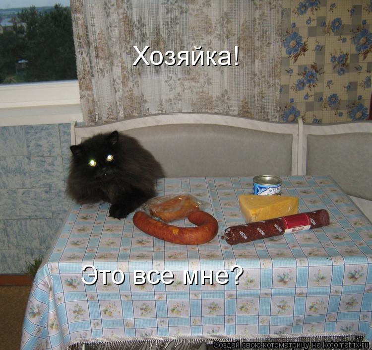 Хозяйка! Это все мне?... Котоматрица: Хозяйка! Это все мне?