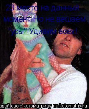 23 место на данный момент!Но не вешаем "усы"!Удивим всех!... Котоматрица: 23 место на данный момент!Но не вешаем "усы"!Удивим всех!