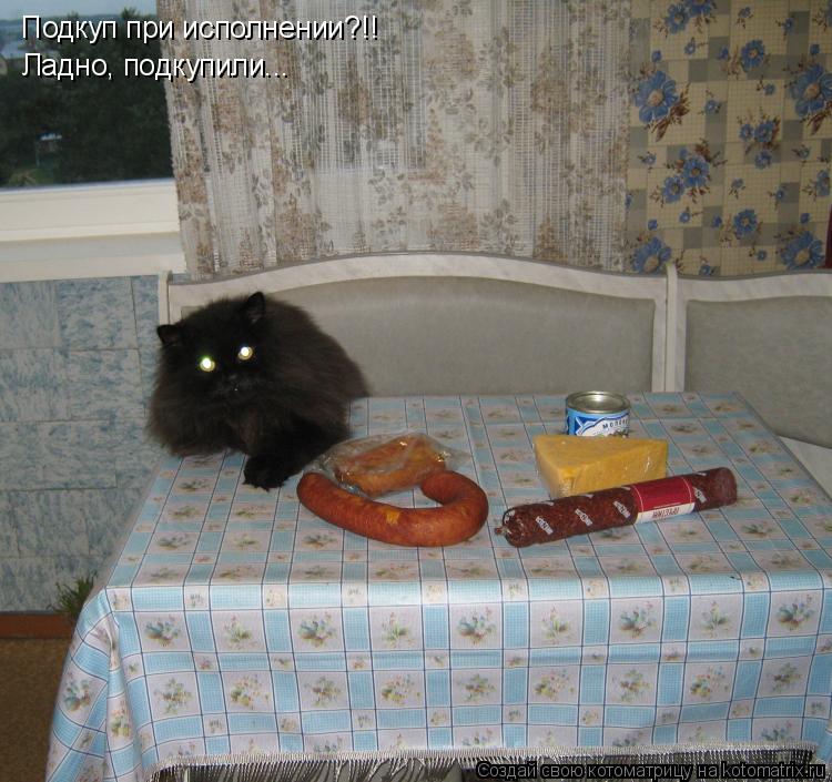 Подкуп при исполнении?!! Ладно, подкупили...... Котоматрица: Подкуп при исполнении?!! Ладно, подкупили...