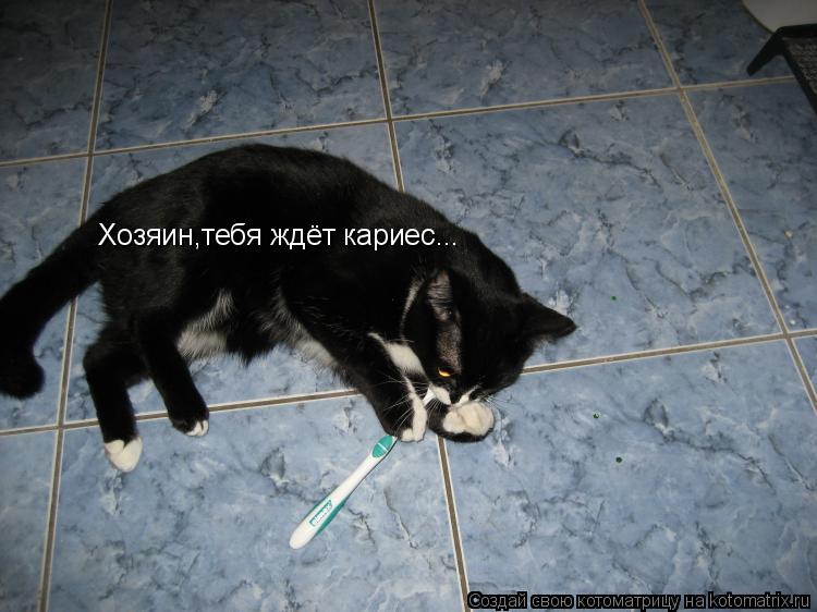 Хозяин,тебя ждёт кариес...... Котоматрица: Хозяин,тебя ждёт кариес...