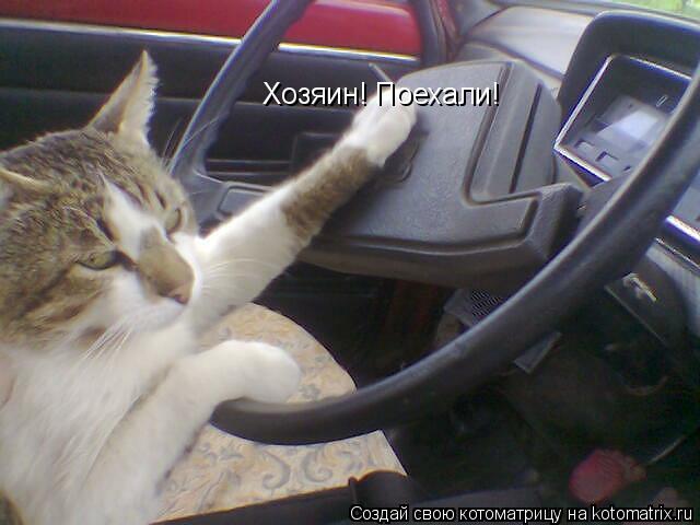 Хозяин! Поехали!... Котоматрица: Хозяин! Поехали!