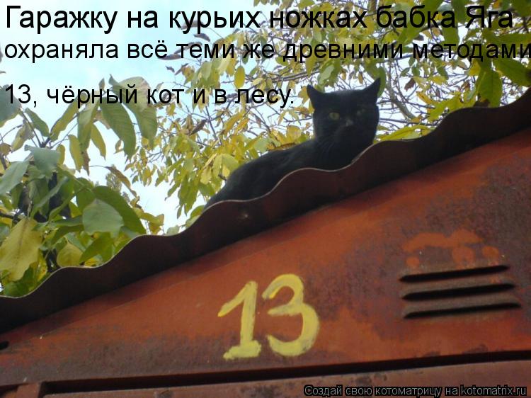 Гаражку на курьих ножках бабка Яга охраняла всё теми же древними методами: 13, чёрный кот и в лесу.... Котоматрица: Гаражку на курьих ножках бабка Яга охраняла всё теми же древними методами: 13, чёрный кот и в лесу.