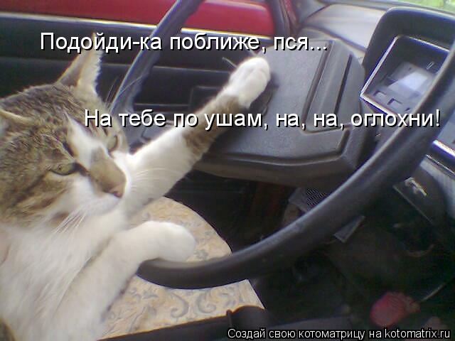Подойди-ка поближе, пся... На тебе по ушам, на, на, оглохни!... Котоматрица: Подойди-ка поближе, пся... На тебе по ушам, на, на, оглохни!