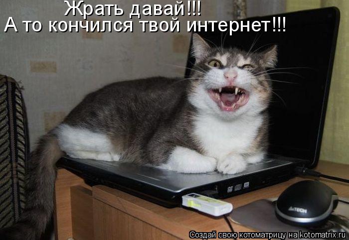 Жрать давай!!! А то кончился твой интернет!!!... Котоматрица: Жрать давай!!! А то кончился твой интернет!!!