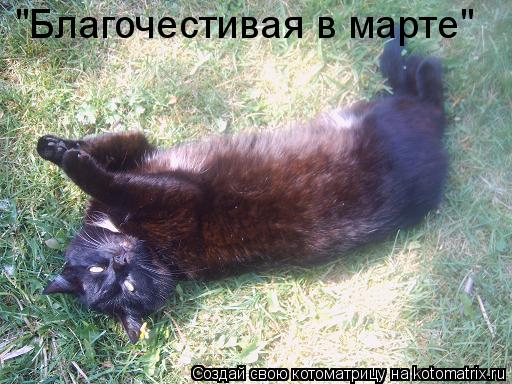 Котоматрица: "Благочестивая в марте"