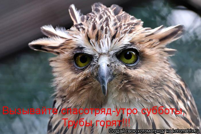 Вызывайте спасотряд-утро субботы, Трубы горят!!!... Котоматрица: Вызывайте спасотряд-утро субботы, Трубы горят!!!