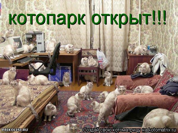 котопарк открыт!!!... Котоматрица: котопарк открыт!!!