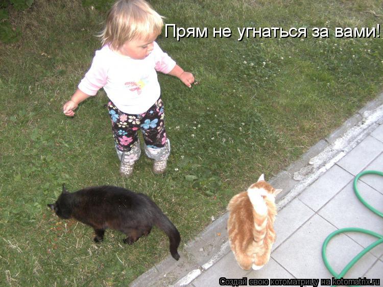 Прям не угнаться за вами!... Котоматрица: Прям не угнаться за вами!