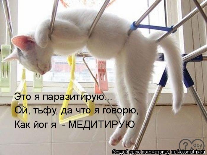 Это я паразитирую... Ой, тьфу, да что я говорю, Как йог я - МЕДИТИРУЮ... Котоматрица: Это я паразитирую... Ой, тьфу, да что я говорю, Как йог я - МЕДИТИРУЮ