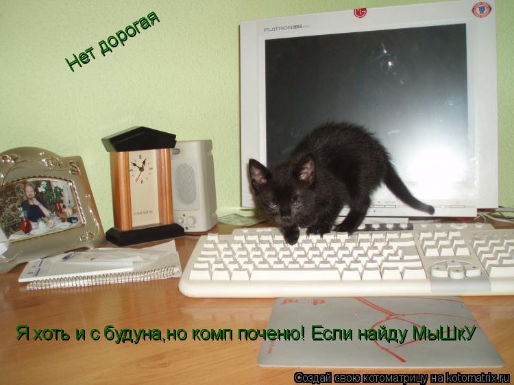 Я хоть и с будуна,но комп поченю! Если найду МыШкУ Нет дорогая... Котоматрица: Я хоть и с будуна,но комп поченю! Если найду МыШкУ Нет дорогая