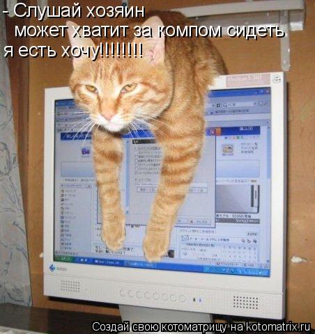 - Слушай хозяин может хватит за компом сидеть я есть хочу!!!!!!!!... Котоматрица: - Слушай хозяин может хватит за компом сидеть я есть хочу!!!!!!!!