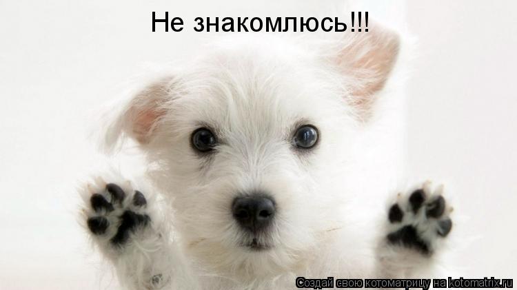 Не знакомлюсь!!!... Котоматрица: Не знакомлюсь!!!