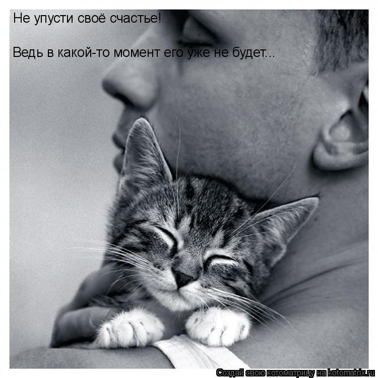 Не упусти своё счастье! Ведь в какой-то момент его уже не будет...... Котоматрица: Не упусти своё счастье! Ведь в какой-то момент его уже не будет...