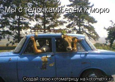 Мы с тёлочками едем к морю... Котоматрица: Мы с тёлочками едем к морю
