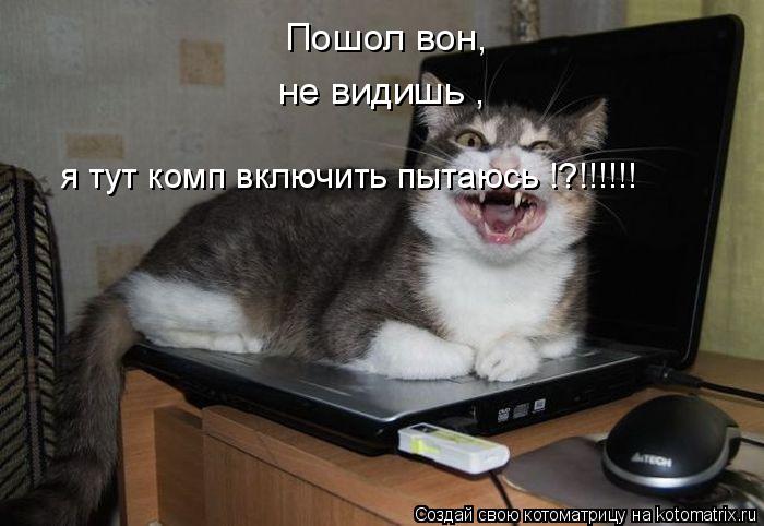 Пошол вон, не видишь , я тут комп включить пытаюсь !?!!!!!!... Котоматрица: Пошол вон, не видишь , я тут комп включить пытаюсь !?!!!!!!