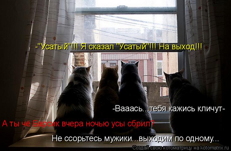 -"Усатый"!!! Я сказал "Усатый"!!! На выход!!! -Вааась...тебя кажись кличут- А ты чё Барсик вчера ночь... Котоматрица: -"Усатый"!!! Я сказал "Усатый"!!! На выход!!! -Вааась...тебя кажись кличут- А ты чё Барсик вчера ночью усы сбрил? Не ссорьтесь мужики...выходим по од