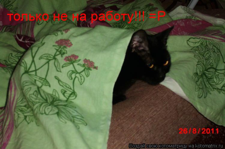 только не на работу!!! =Р... Котоматрица: только не на работу!!! =Р
