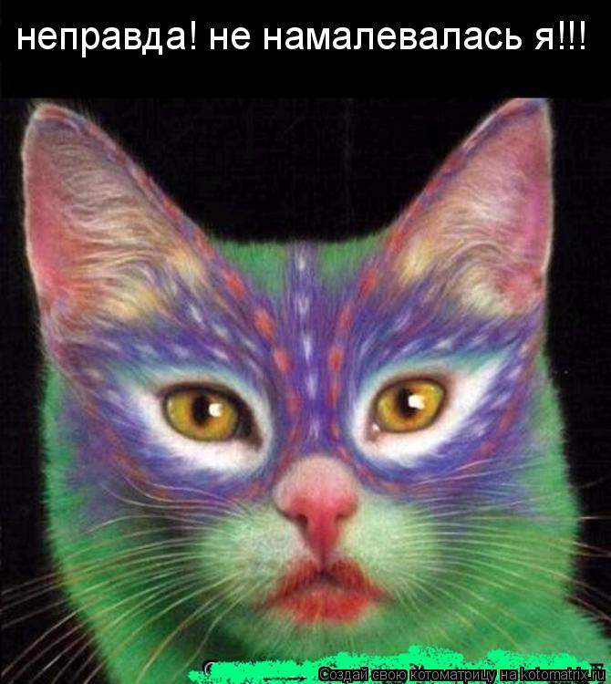 неправда! не намалевалась я!!!... Котоматрица: неправда! не намалевалась я!!!