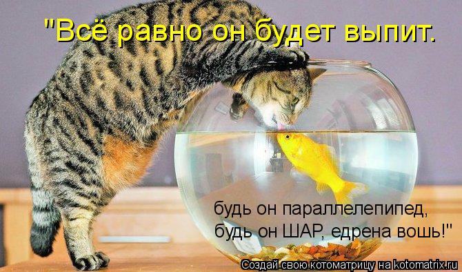 Котоматрица: будь он ШАР, едрена вошь!" будь он параллелепипед,  "Всё равно он будет выпит.