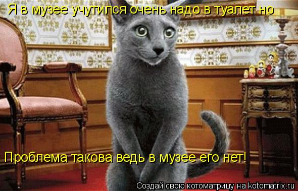 Котоматрица: Я в музее учутился очень надо в туалет но Проблема такова ведь в музее его нет!