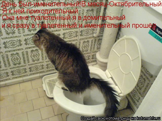 Котоматрица: День был-именительный!В месяц-Октябрительный Я к ней приходительный Она мне туалетенный я в домительный и я сразу в туалетенный и именител