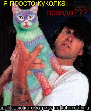 Котоматрица: я просто куколка! правда???