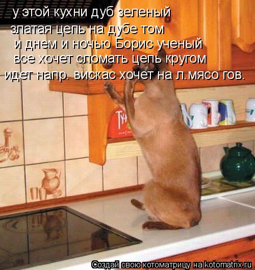 Котоматрица: у этой кухни дуб зеленый  златая цепь на дубе том и днем и ночью Борис ученый все хочет сломать цепь кругом идет напр. вискас хочет на л.мясо 