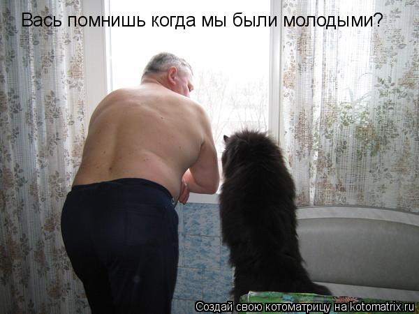 Котоматрица: Вась помнишь когда мы были молодыми?
