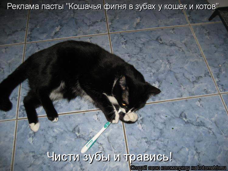 Котоматрица: Реклама пасты "Кошачья фигня в зубах у кошек и котов" Чисти зубы и травись!