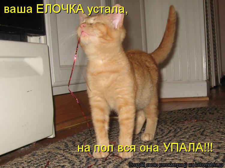 ваша ЕЛОЧКА устала, на пол вся она УПАЛА!!!... Котоматрица: ваша ЕЛОЧКА устала, на пол вся она УПАЛА!!!