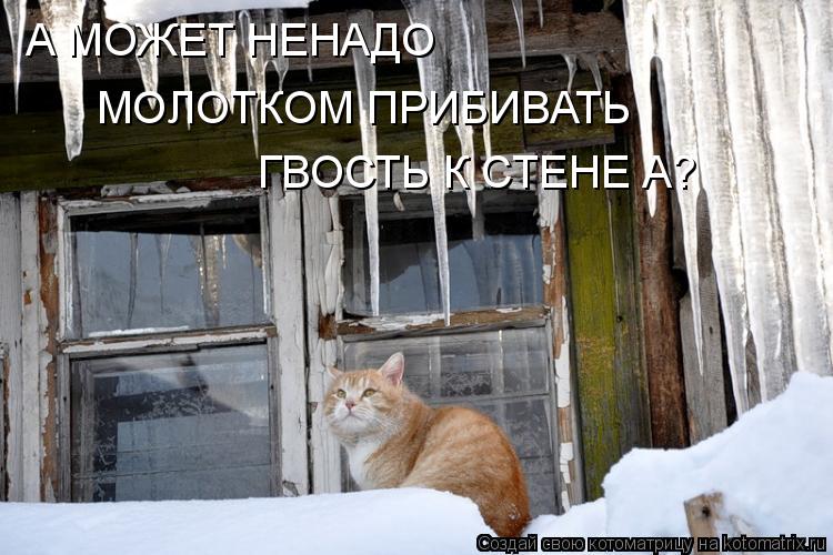 А МОЖЕТ НЕНАДО МОЛОТКОМ ПРИБИВАТЬ ГВОСТЬ К СТЕНЕ А?... Котоматрица: А МОЖЕТ НЕНАДО МОЛОТКОМ ПРИБИВАТЬ ГВОСТЬ К СТЕНЕ А?
