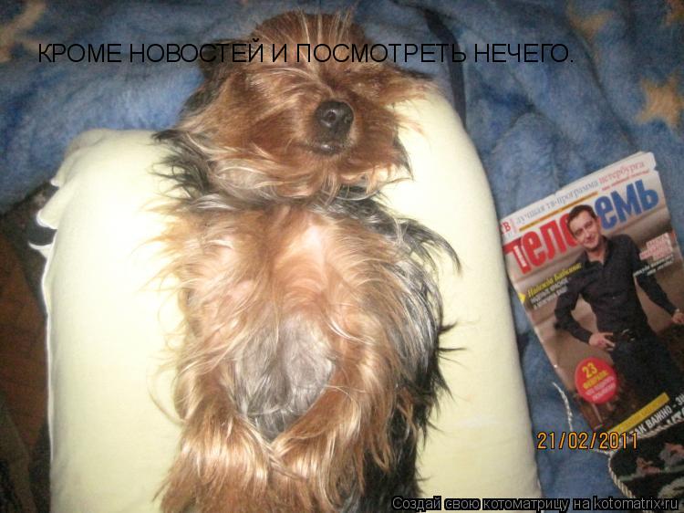 КРОМЕ НОВОСТЕЙ И ПОСМОТРЕТЬ НЕЧЕГО.... Котоматрица: КРОМЕ НОВОСТЕЙ И ПОСМОТРЕТЬ НЕЧЕГО.