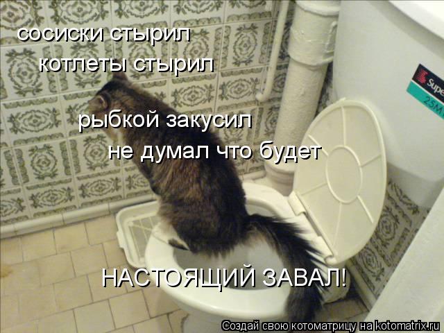 сосиски стырил котлеты стырил рыбкой закусил не думал что будет НАСТОЯЩИЙ ЗАВАЛ!... Котоматрица: сосиски стырил котлеты стырил рыбкой закусил не думал что будет НАСТОЯЩИЙ ЗАВАЛ!