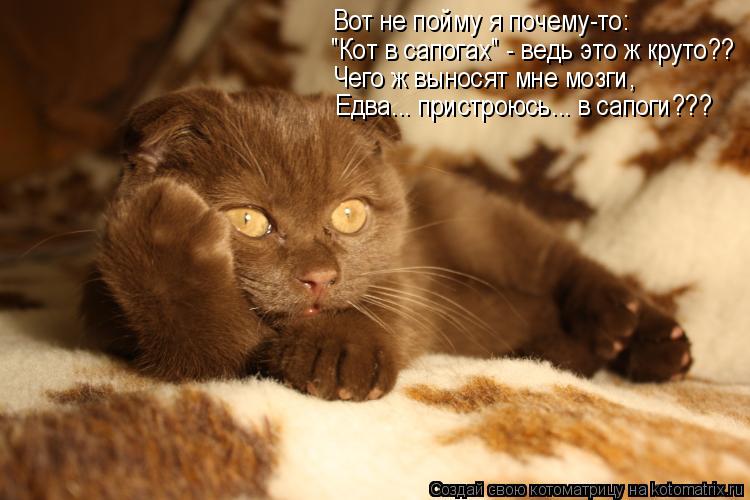 Вот не пойму я почему-то: "Кот в сапогах" - ведь это ж круто?? Чего ж выносят мне мозги, Едва... при... Котоматрица: Вот не пойму я почему-то: "Кот в сапогах" - ведь это ж круто?? Чего ж выносят мне мозги, Едва... пристроюсь... в сапоги???