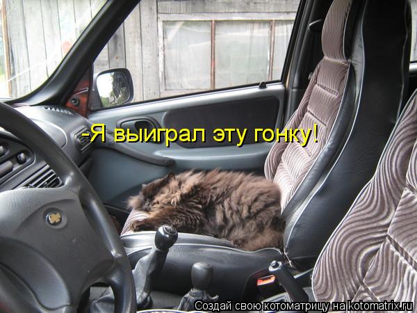 -Я выиграл эту гонку!... Котоматрица: -Я выиграл эту гонку!