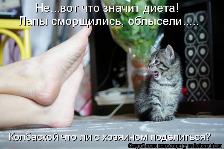 Не...вот что значит диета! Лапы сморщились, облысели..... Колбаской что ли с хозяином поделиться?... Котоматрица: Не...вот что значит диета! Лапы сморщились, облысели..... Колбаской что ли с хозяином поделиться?