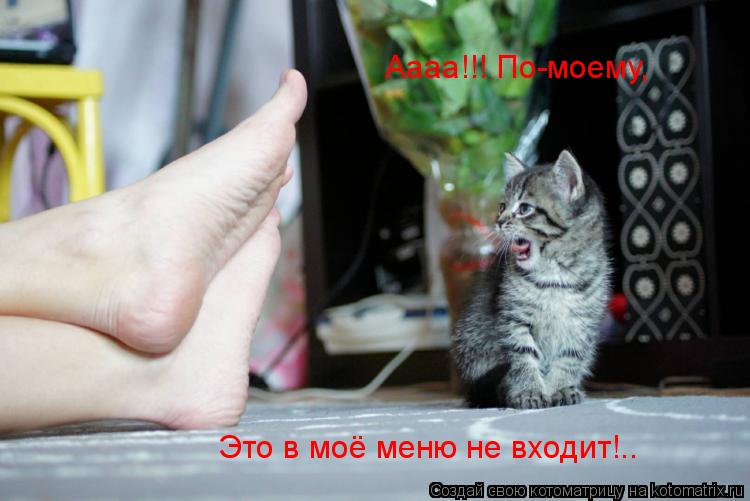 Аааа!!! По-моему, Это в моё меню не входит!..... Котоматрица: Аааа!!! По-моему, Это в моё меню не входит!..