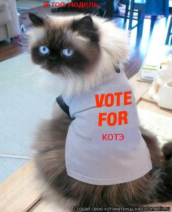 КОТЭ я топ модель... Котоматрица: КОТЭ я топ модель