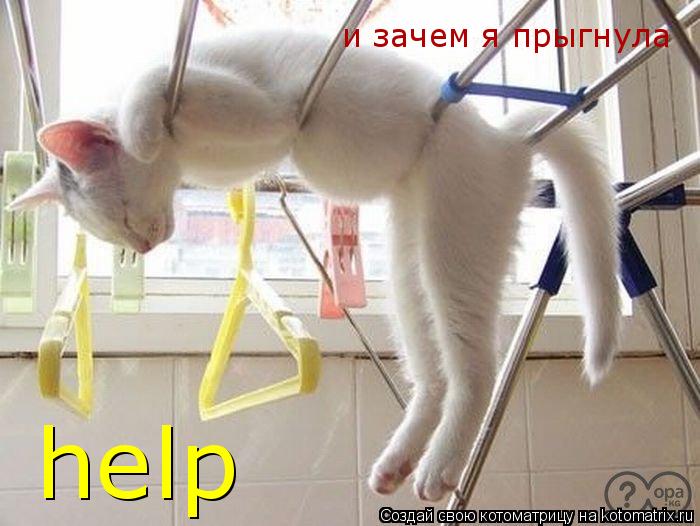 и зачем я прыгнула help... Котоматрица: и зачем я прыгнула help