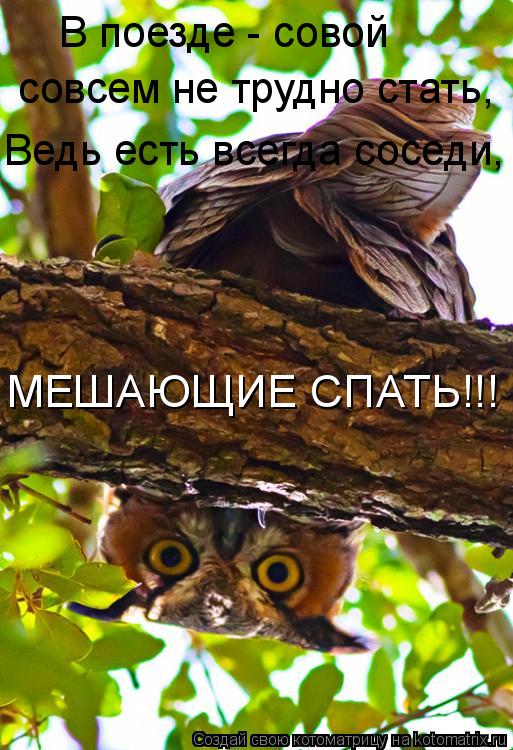 В поезде - совой совсем не трудно стать, Ведь есть всегда соседи, МЕШАЮЩИЕ СПАТЬ!!!... Котоматрица: В поезде - совой совсем не трудно стать, Ведь есть всегда соседи, МЕШАЮЩИЕ СПАТЬ!!!