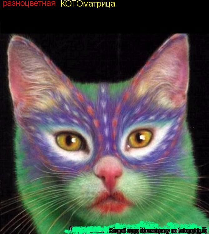 разноцветная КОТОматрица... Котоматрица: разноцветная КОТОматрица
