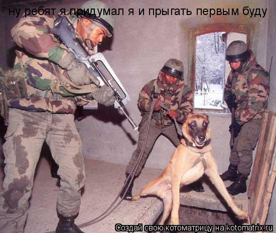 ну ребят я придумал я и прыгать первым буду... Котоматрица: ну ребят я придумал я и прыгать первым буду