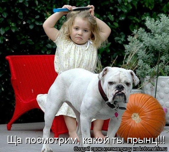 Ща посмотрим, какой ты прынц!!!... Котоматрица: Ща посмотрим, какой ты прынц!!!