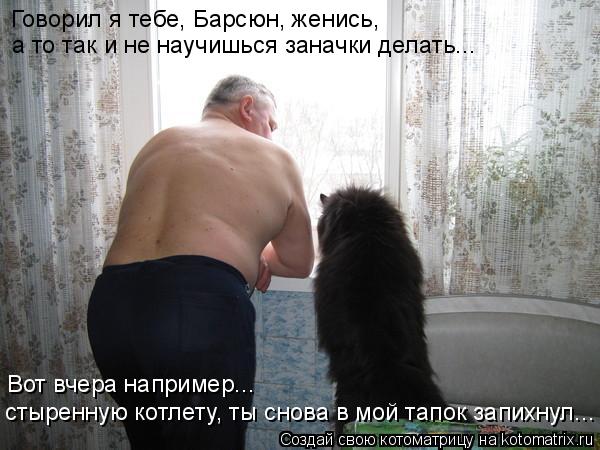 Говорил я тебе, Барсюн, женись, а то так и не научишься заначки делать... Вот вчера например... стыр... Котоматрица: Говорил я тебе, Барсюн, женись, а то так и не научишься заначки делать... Вот вчера например... стыренную котлету, ты снова в мой тапок запихну