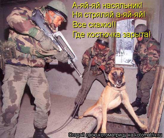 А-яй-яй насяльник! Ня стряляй а-яй-яй! Все скажю!! Где костючка зарыта!... Котоматрица: А-яй-яй насяльник! Ня стряляй а-яй-яй! Все скажю!! Где костючка зарыта!