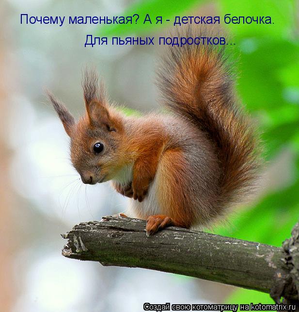 Для пьяных подростков... Почему маленькая? А я - детская белочка.... Котоматрица: Для пьяных подростков... Почему маленькая? А я - детская белочка.