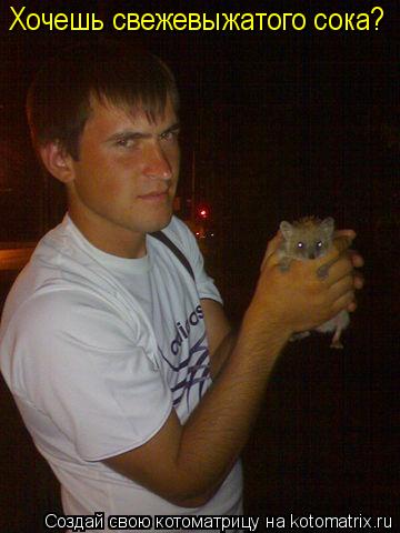 Хочешь свежевыжатого сока?... Котоматрица: Хочешь свежевыжатого сока?