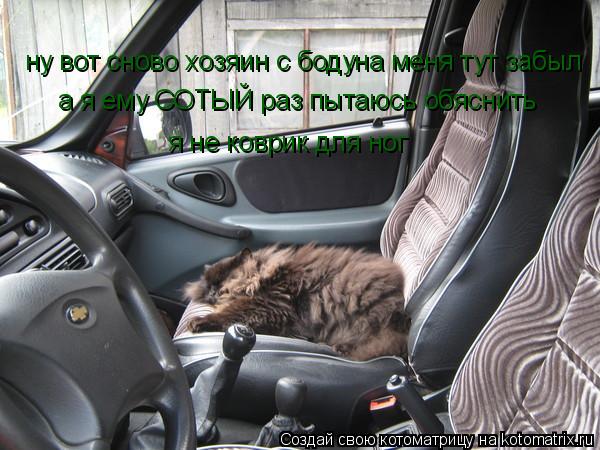 ну вот сново хозяин с бодуна меня тут забыл я не коврик для ног а я ему СОТЫЙ раз пытаюсь обяснить... Котоматрица: ну вот сново хозяин с бодуна меня тут забыл я не коврик для ног а я ему СОТЫЙ раз пытаюсь обяснить