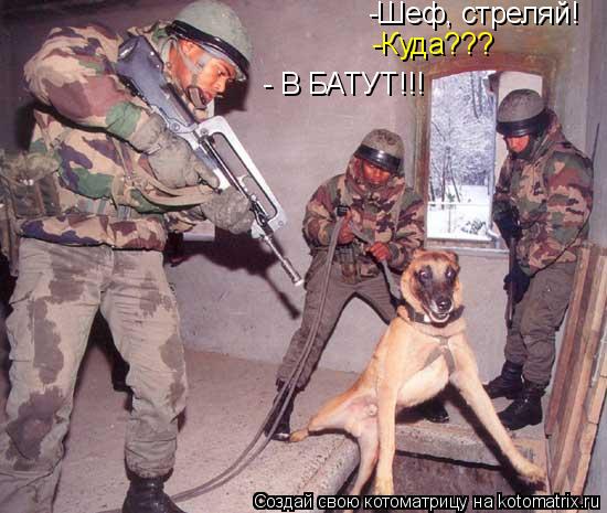 -Шеф, стреляй! -Куда??? - В БАТУТ!!!... Котоматрица: -Шеф, стреляй! -Куда??? - В БАТУТ!!!